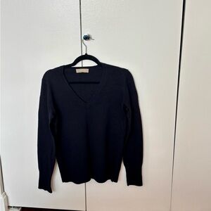 Everlane Elegant Navy V-Neck Sweater